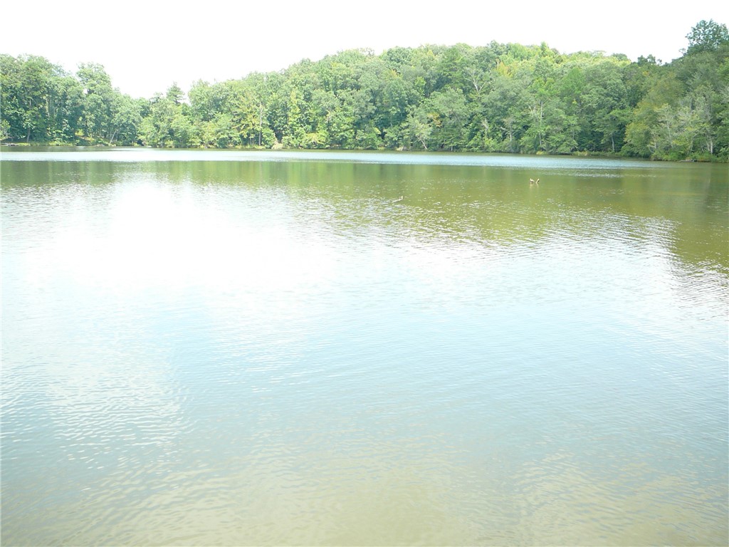 1405 Shirley Drive Anderson, SC 29621 - Photo 17 of 33