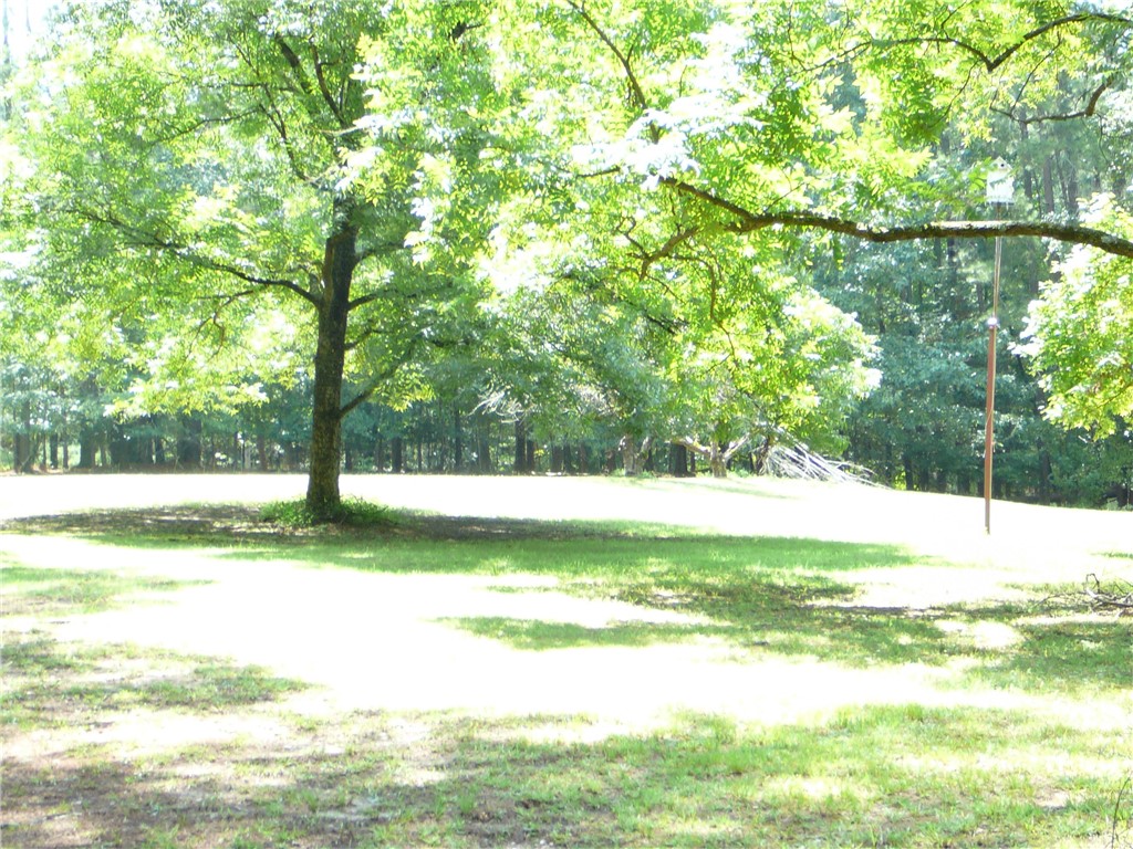 1405 Shirley Drive Anderson, SC 29621 - Photo 4 of 33