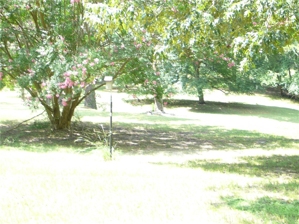 1405 Shirley Drive Anderson, SC 29621 - Photo 5 of 33