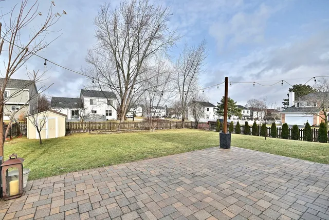 a park view with tree s