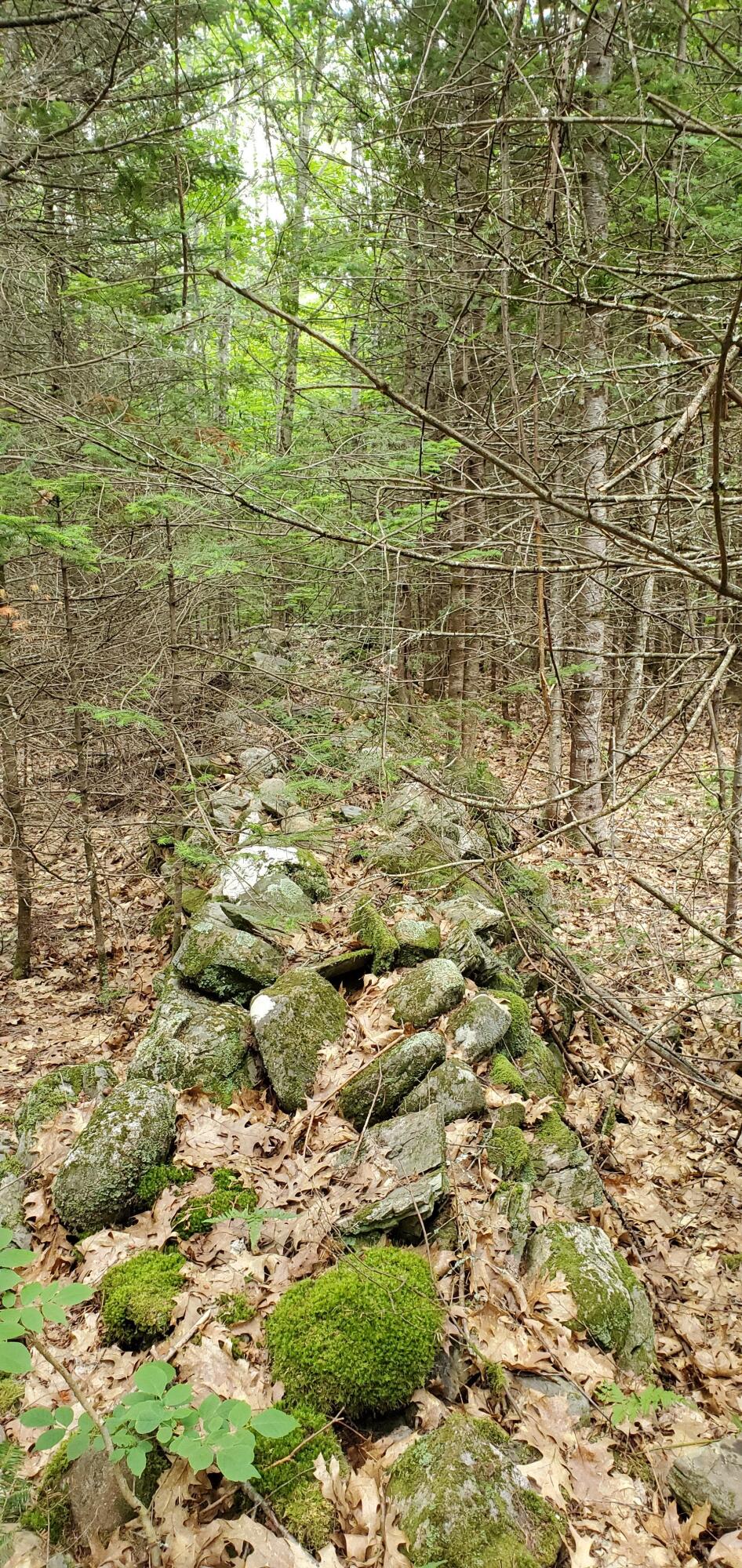 Lot 16-3a Cross Road Unity, ME 04988 - Photo 4 of 10 rock wall