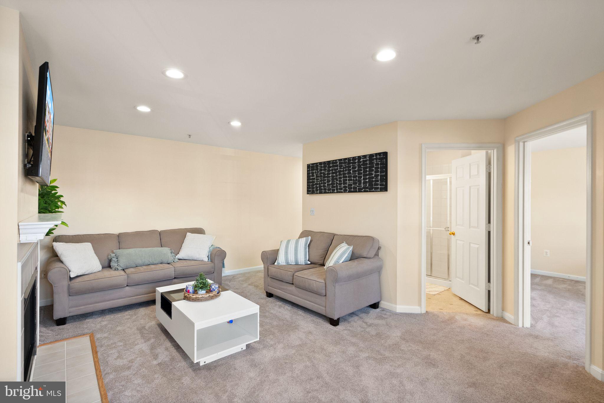 521 Constellation Square Southeast, Unit E Leesburg, VA 20175 - Photo 4 of 27 a living room with furniture and a potted plant