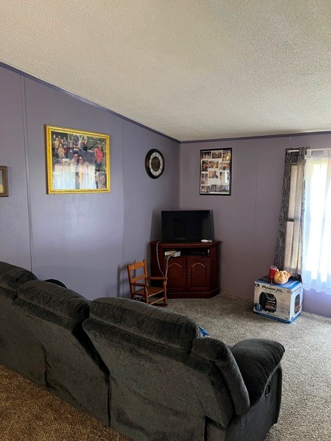 465 Peg-A-Nal Road Cranberry, PA 16319 - Photo 6 of 17