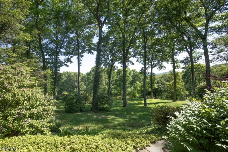 235 Mountainside Road Mendham, NJ 07945 - Photo 39 of 39