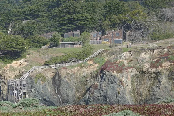 a view of a yard with large trees
