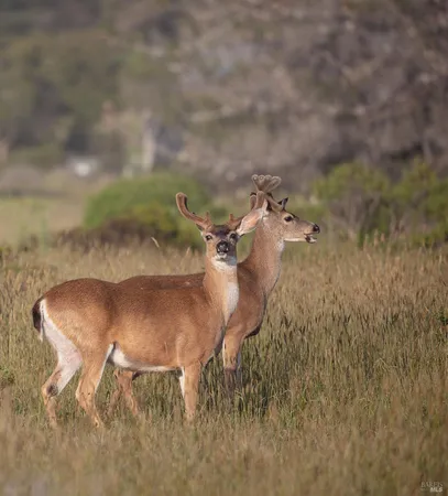 a view of a wooden floor