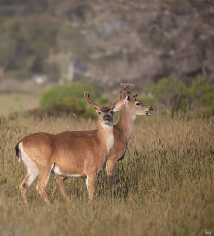 a view of a wooden floor