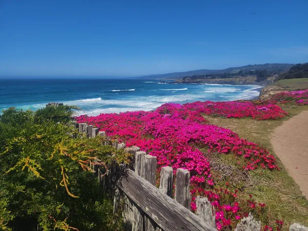 a view of swimming pool with an outdoor seating