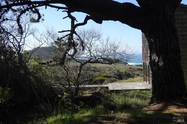 a view of a backyard of the house