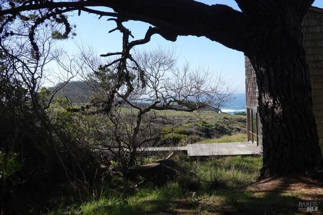 a view of a backyard of the house