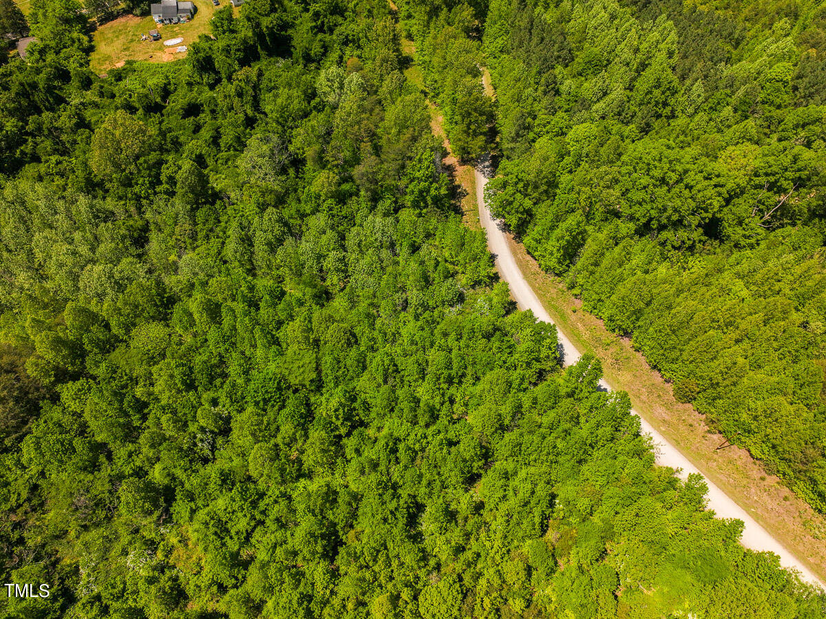 Lot-1-00 Wilson Road Providence, NC 27315 - Photo 13 of 43 Caswell Co. NC -Wilsons Ridge-Lot 1-13