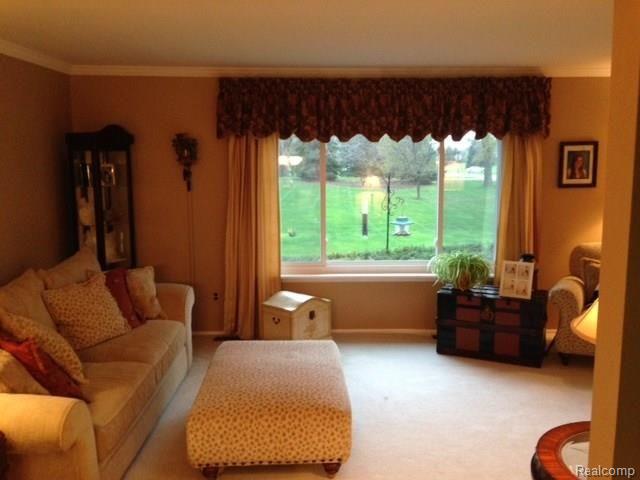 11215 Buno Road Brighton, MI 48114 - Photo 12 of 37 Living Room