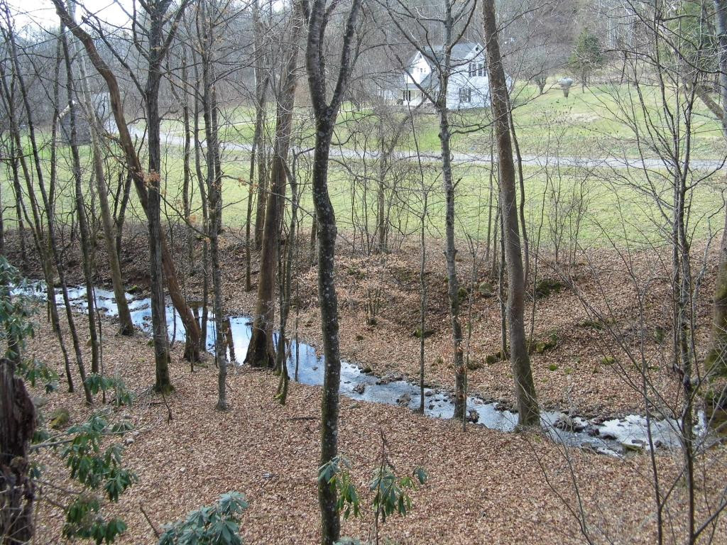 6915 Big Dry Run Road Butler, TN 37640 - Photo 3 of 13 Creek Running in front of Home