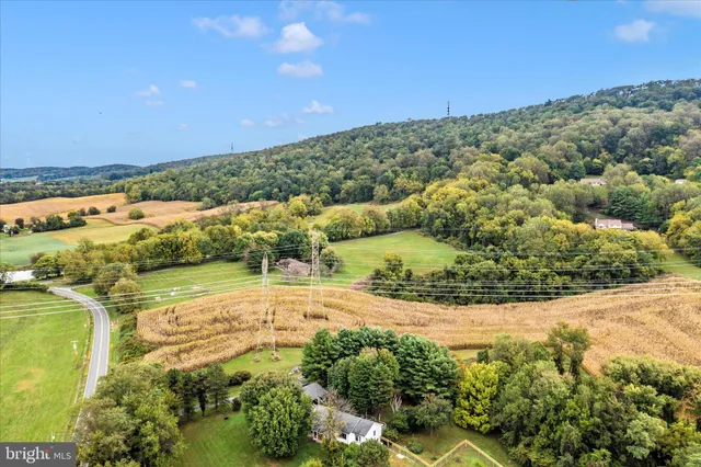 a backyard of a house with lots of green space and trees in the back