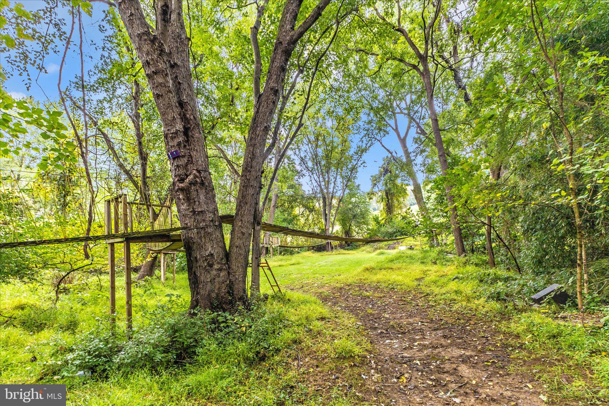 2915 Fry Road Jefferson, MD 21755 - Photo 62 of 66 a view of yard with large trees