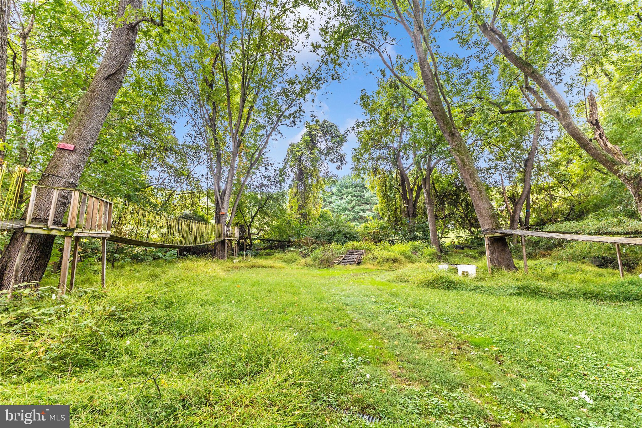 2915 Fry Road Jefferson, MD 21755 - Photo 63 of 66 a backyard of a house with lots of green space