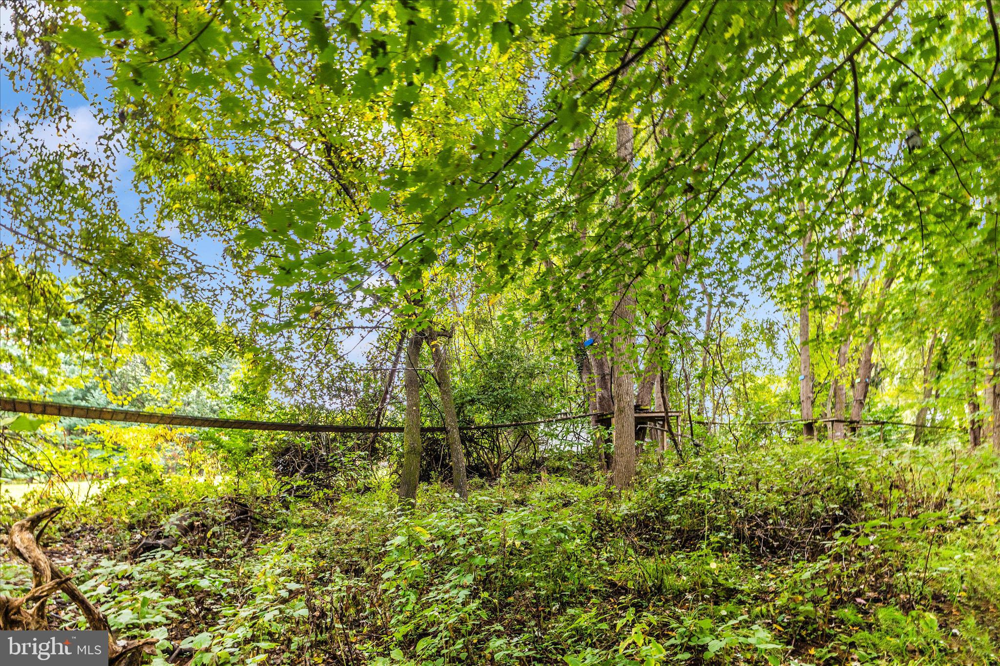 2915 Fry Road Jefferson, MD 21755 - Photo 65 of 66 a backyard of a house with lots of green space and trees in the back