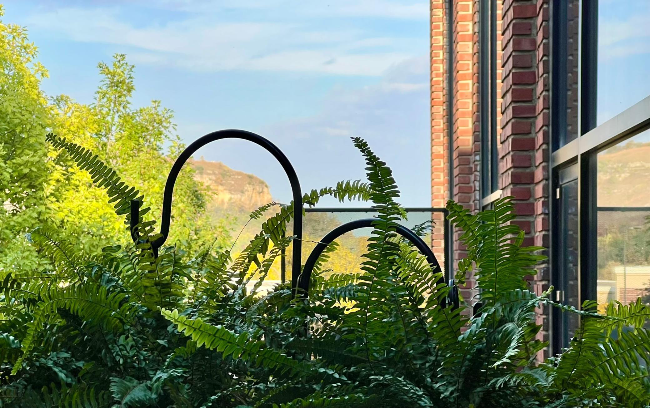 523 East Avenue, Unit 211 Red Wing, MN 55066 - Photo 13 of 68