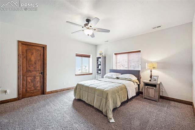 13665 Random Ridge View Colorado Springs, CO 80921 - Photo 26 of 49 Bedroom with carpet and ceiling fan