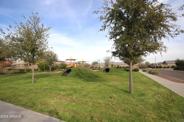 a view of a park with large trees