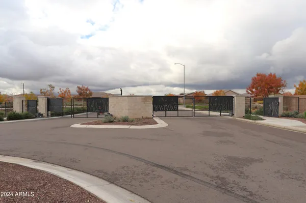 a view of a park with a tree