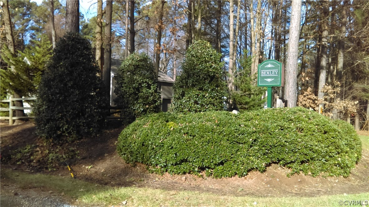 a view of a garden