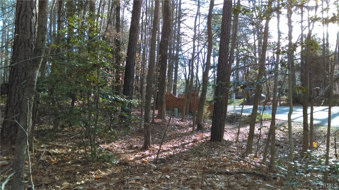 2461 Camelback Road North Chesterfield, VA 23236 - Photo 8 of 8