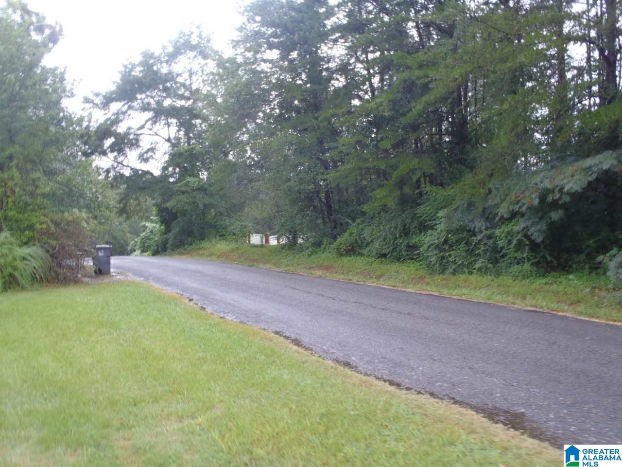 110 Nixon Road Cropwell, AL 35054 - Photo 21 of 25