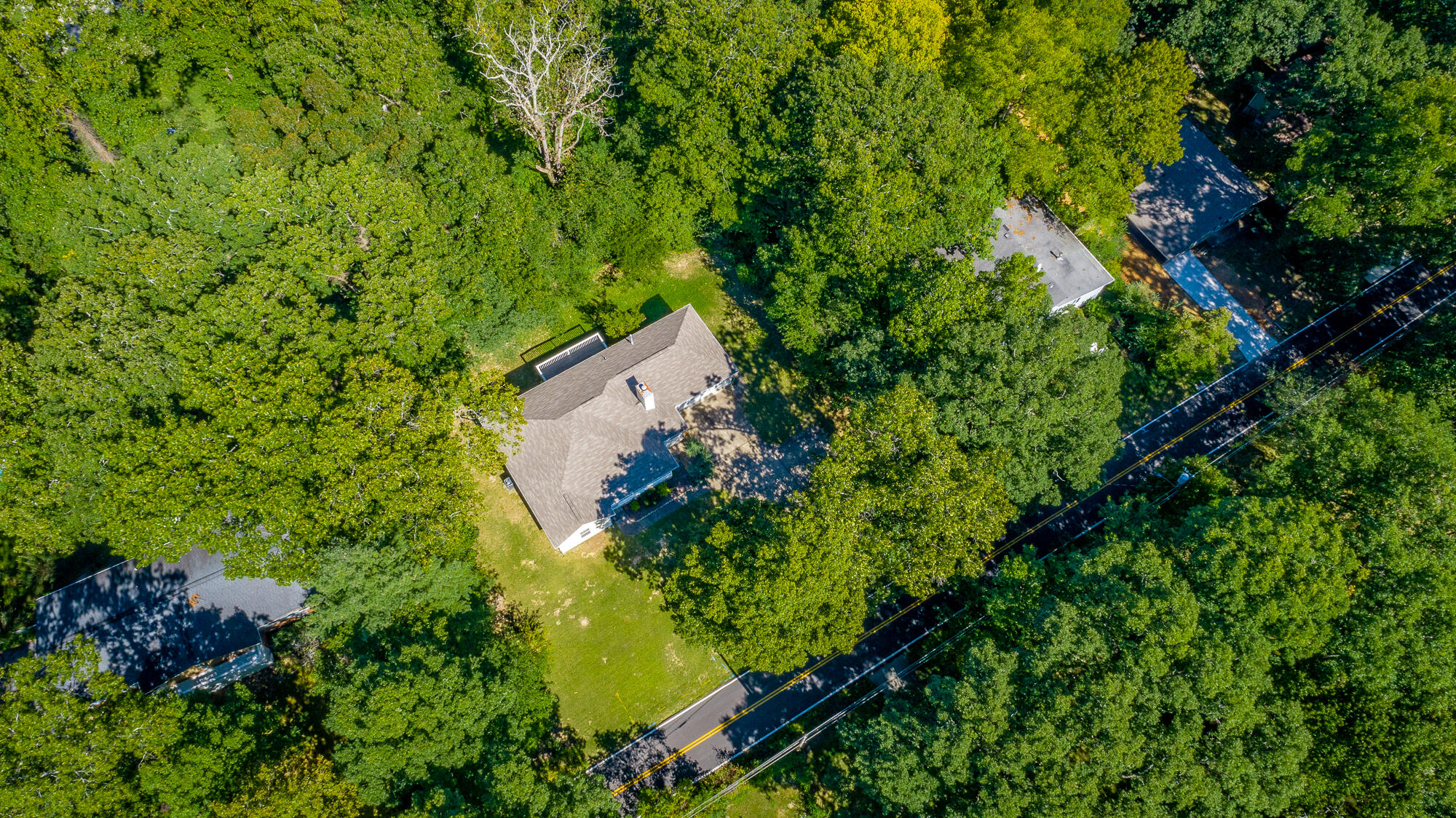 703 Miles Road Signal Mountain, TN 37377 - Photo 73 of 75 Aerial