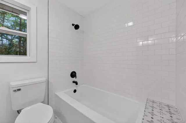 a bathroom with a toilet and a bathtub