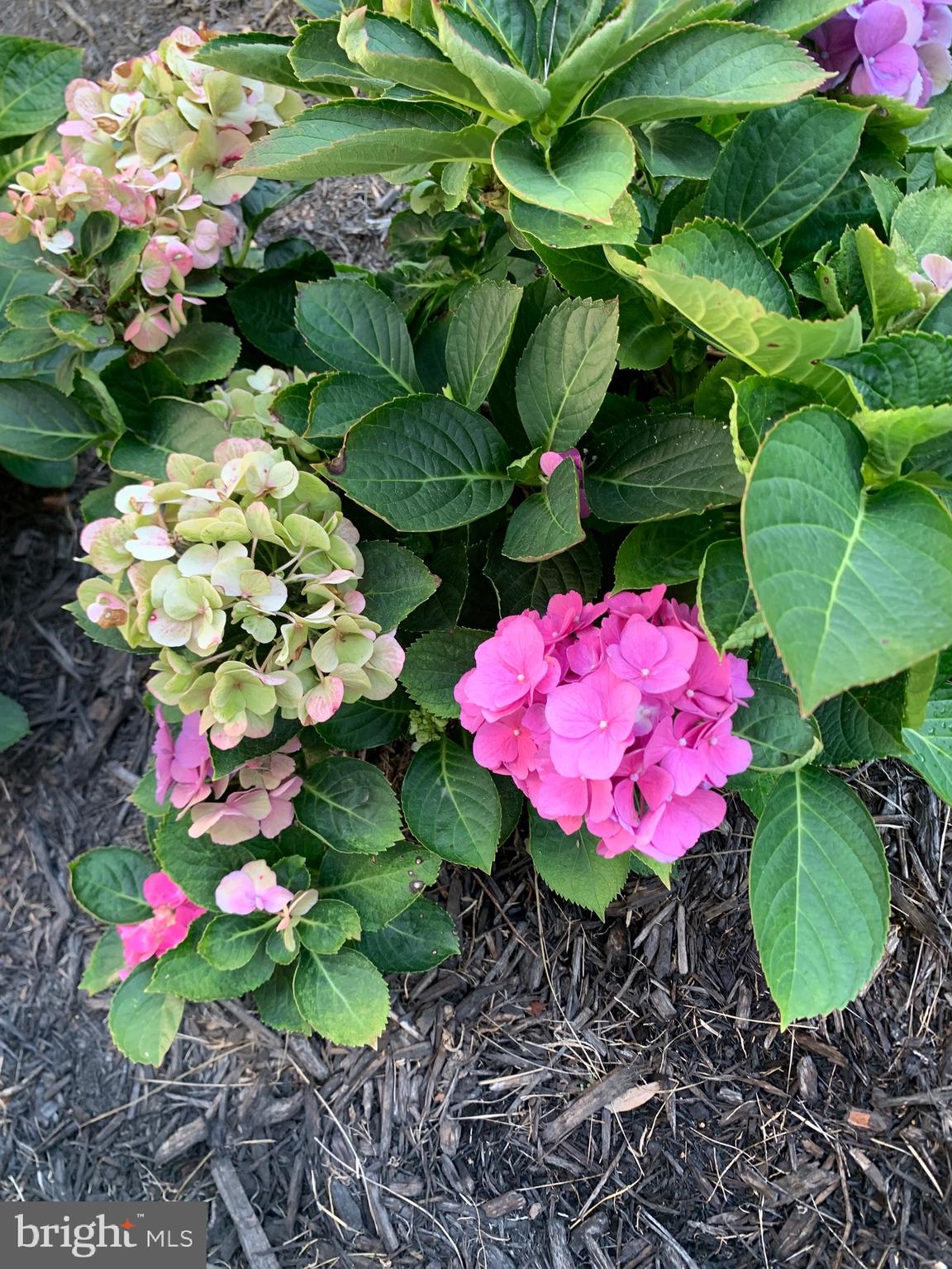 121 Colton Court Smithsburg, MD 21783 - Photo 104 of 107