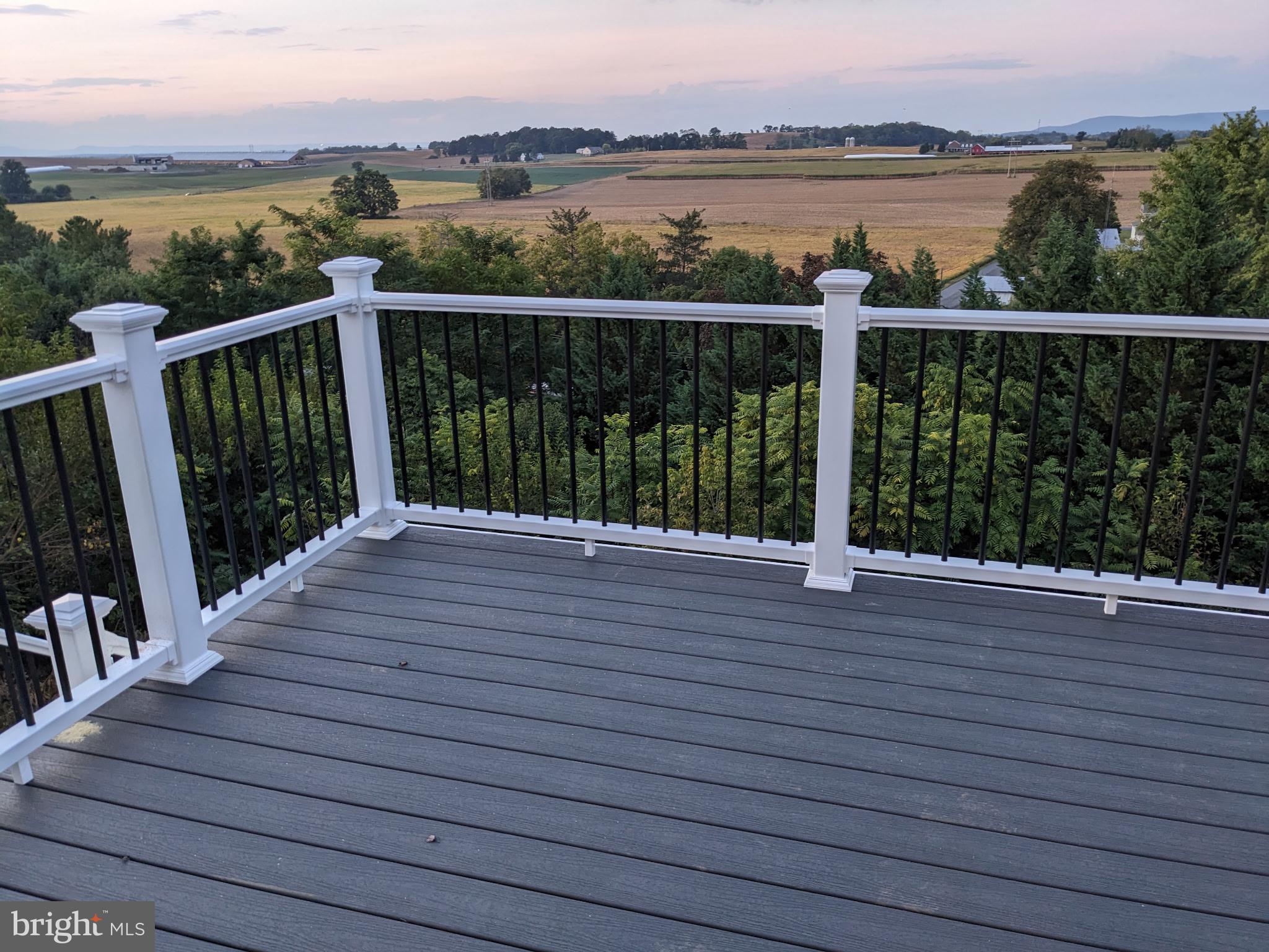 121 Colton Court Smithsburg, MD 21783 - Photo 33 of 107