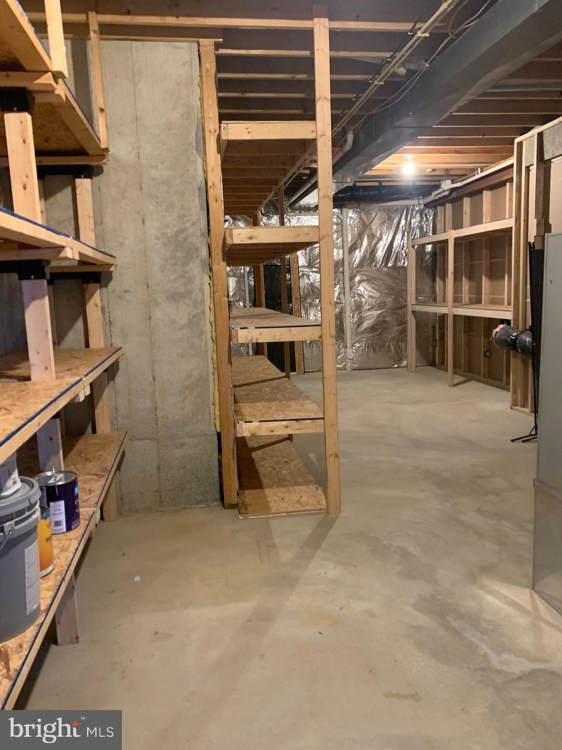 121 Colton Court Smithsburg, MD 21783 - Photo 92 of 107 massive storage room with tons of shelving.