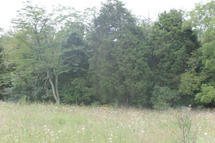 1 Blue Licks Rd Mount Carlisle, KY 40311 - Photo 7 of 8 Photo 7