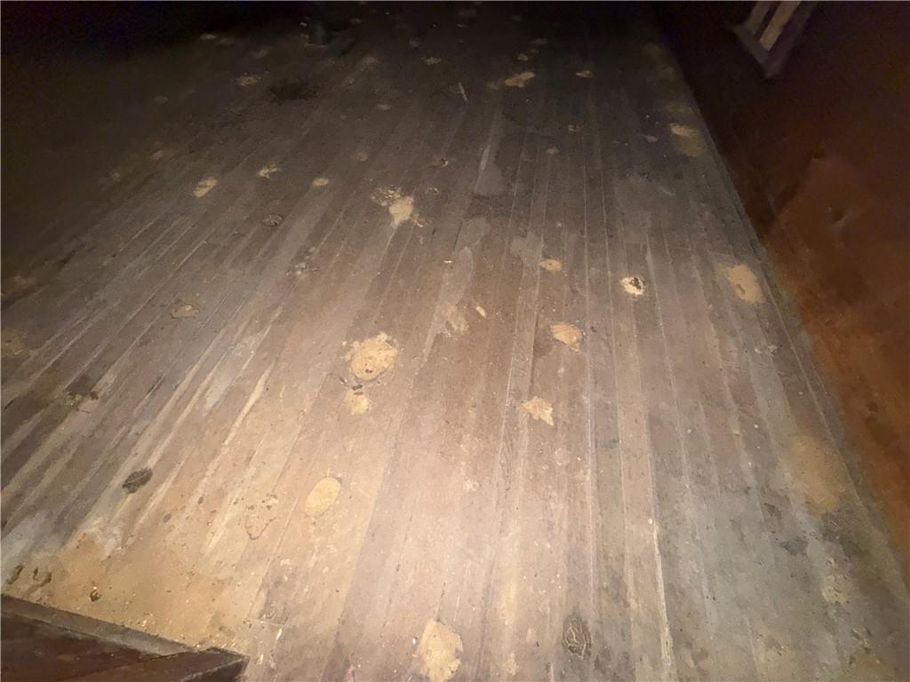 558 Whispering Pines Road Cairnbrook, PA 15924 - Photo 34 of 44 a view of backyard