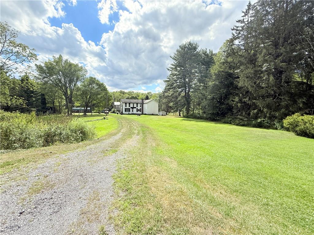 558 Whispering Pines Road Cairnbrook, PA 15924 - Photo 42 of 44 a view of a yard with a house in the background
