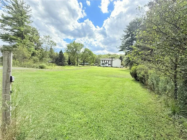 a view of yard with green space