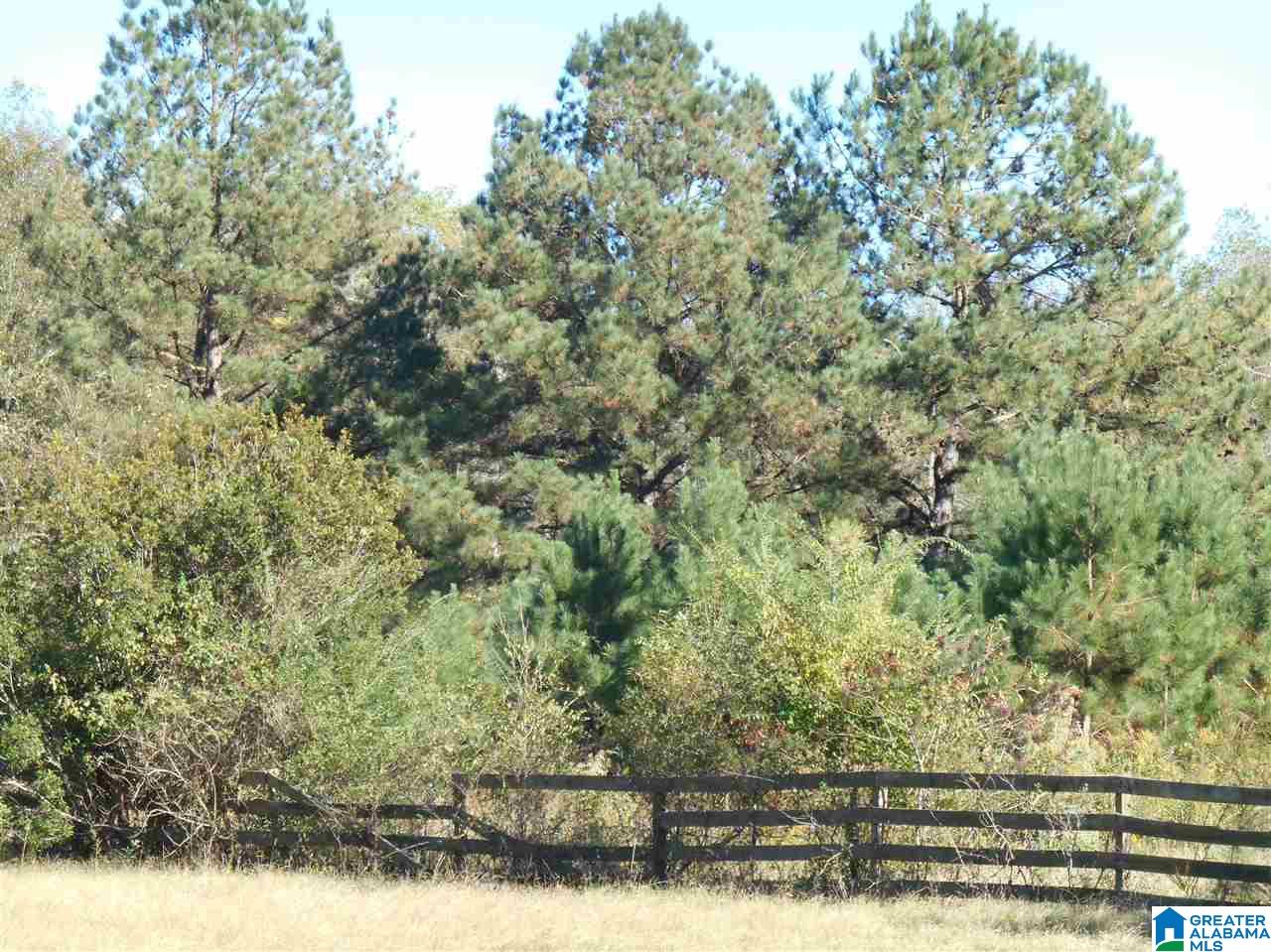 6429 County Road 39 Chelsea, AL 35043 - Photo 4 of 5