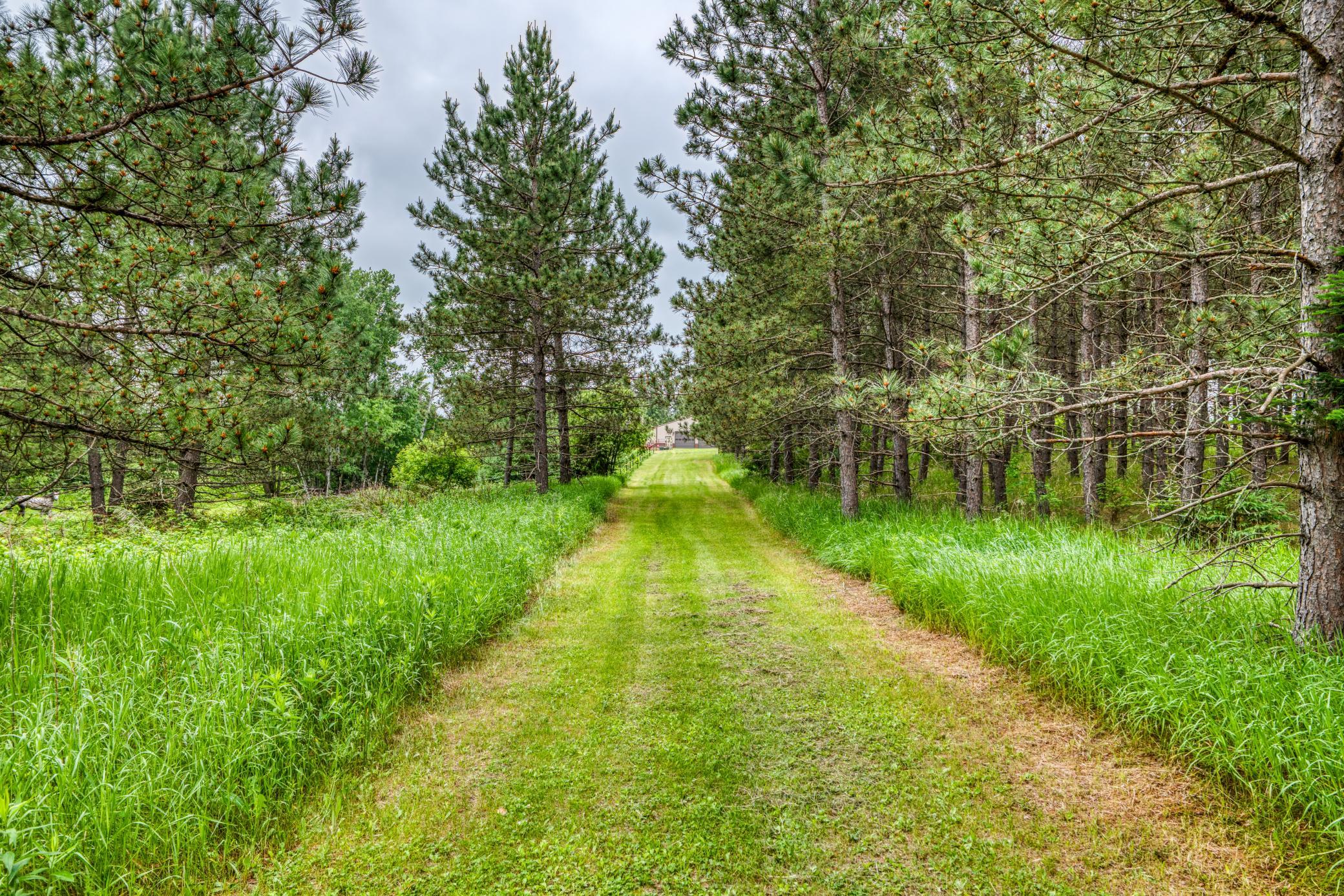 24058 County 2 Shevlin, MN 56676 - Photo 57 of 90
