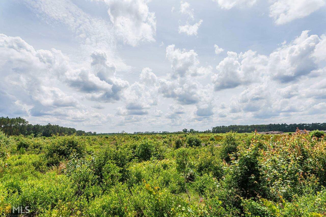 0 Brantley Road Hazlehurst, GA 31539 - Photo 1 of 1
