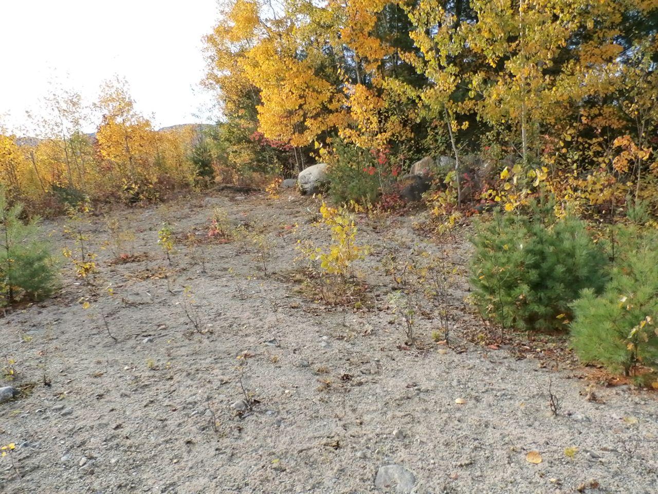 2 West Side Road Dixfield, ME 04224 - Photo 12 of 13 PA080317