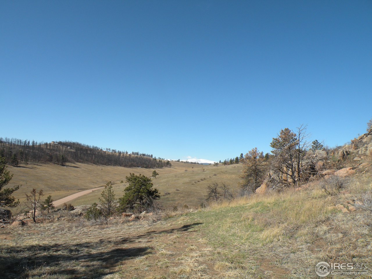 1437 Eiger Road Livermore, CO 80536 - Photo 3 of 7 Gallery Image 3