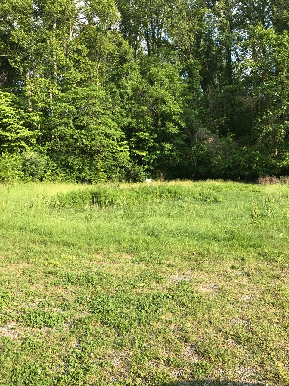 1264 Cumberland View Road Clinton, TN 37716 - Photo 2 of 2 55103