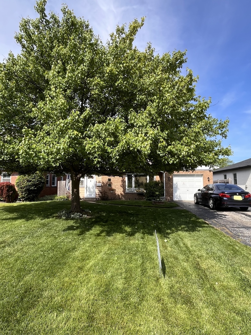 5224 Wolf Road Western Springs, IL 60558 - Photo 2 of 24