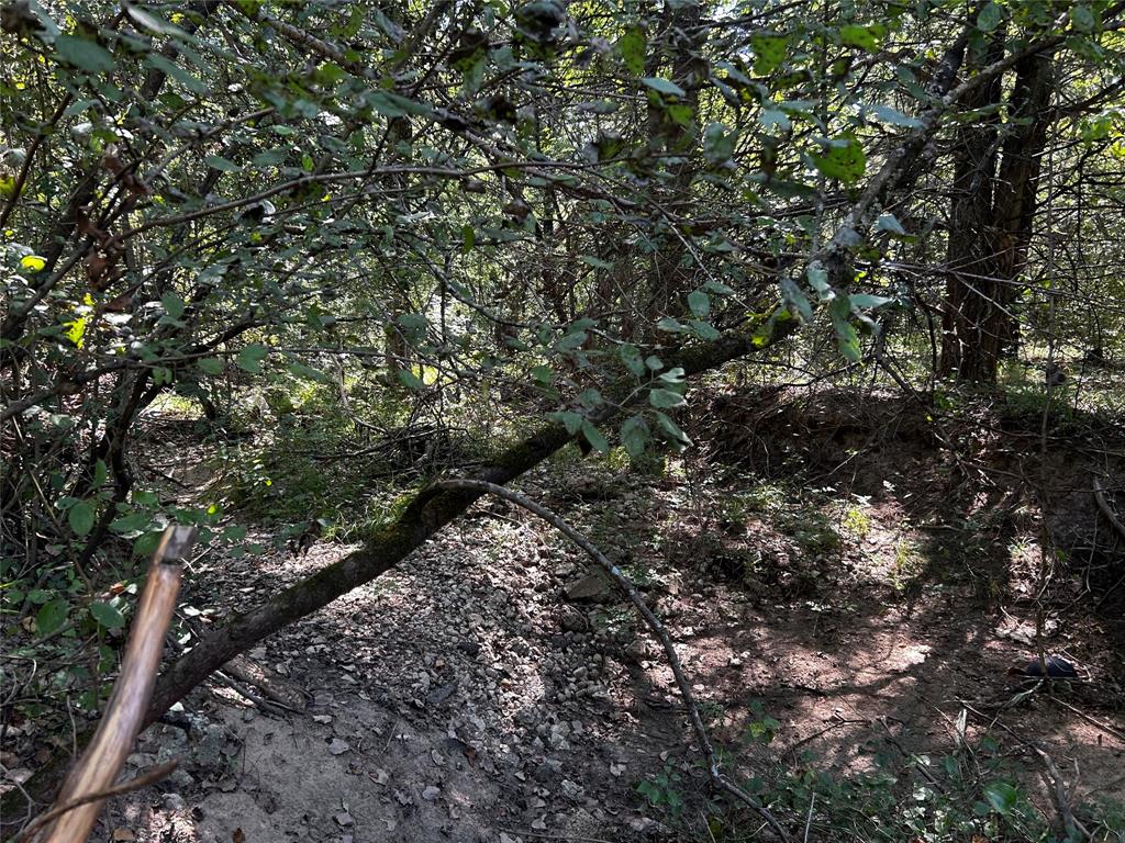 0 South 3rd Street Scurry, TX 75158 - Photo 3 of 9