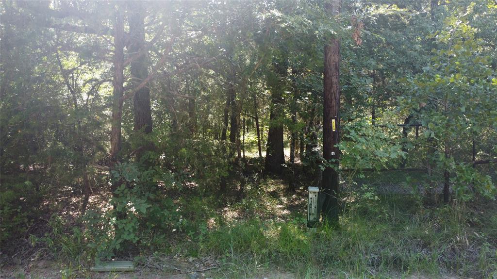 0 South 3rd Street Scurry, TX 75158 - Photo 8 of 9