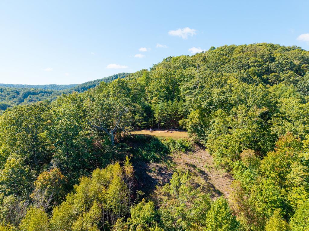 Lot 6-7 Raintree Bend Blue Ridge, GA 30513 - Photo 12 of 15 Gallery Image 12