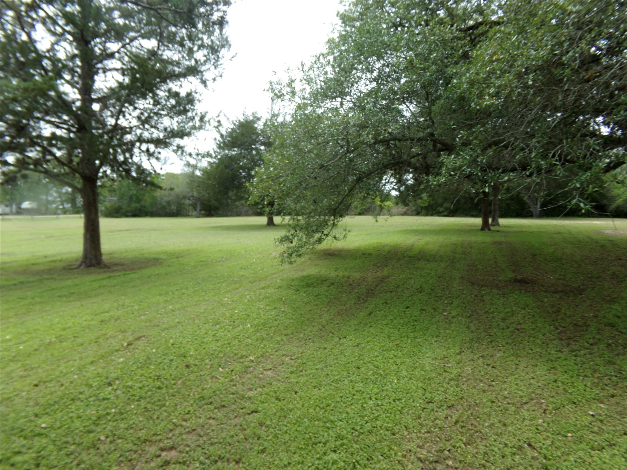 1015 Coy Road Weimar, TX 78962 - Photo 7 of 28