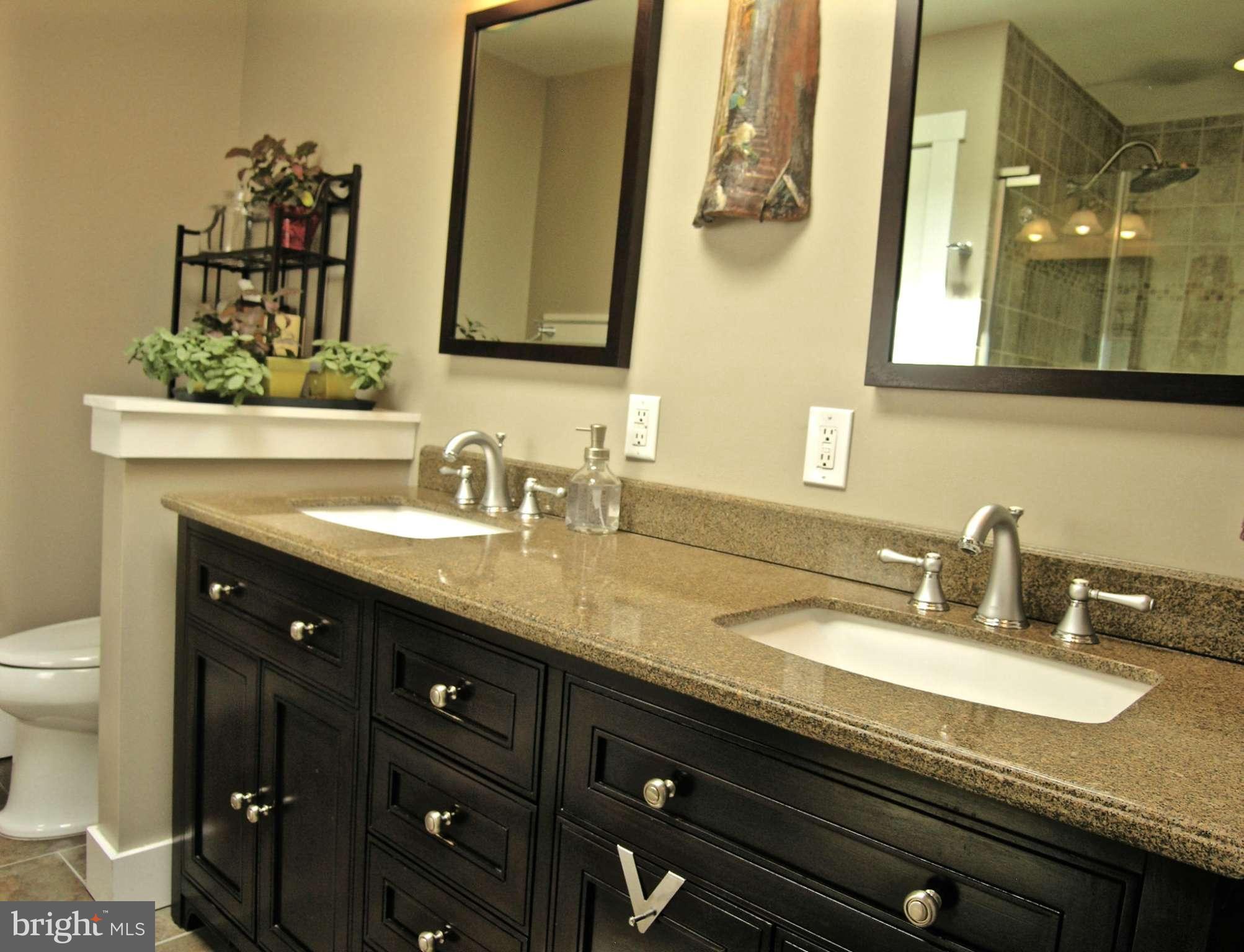 243 17th Street Southeast Washington, DC 20003 - Photo 17 of 26 Bath (Master)