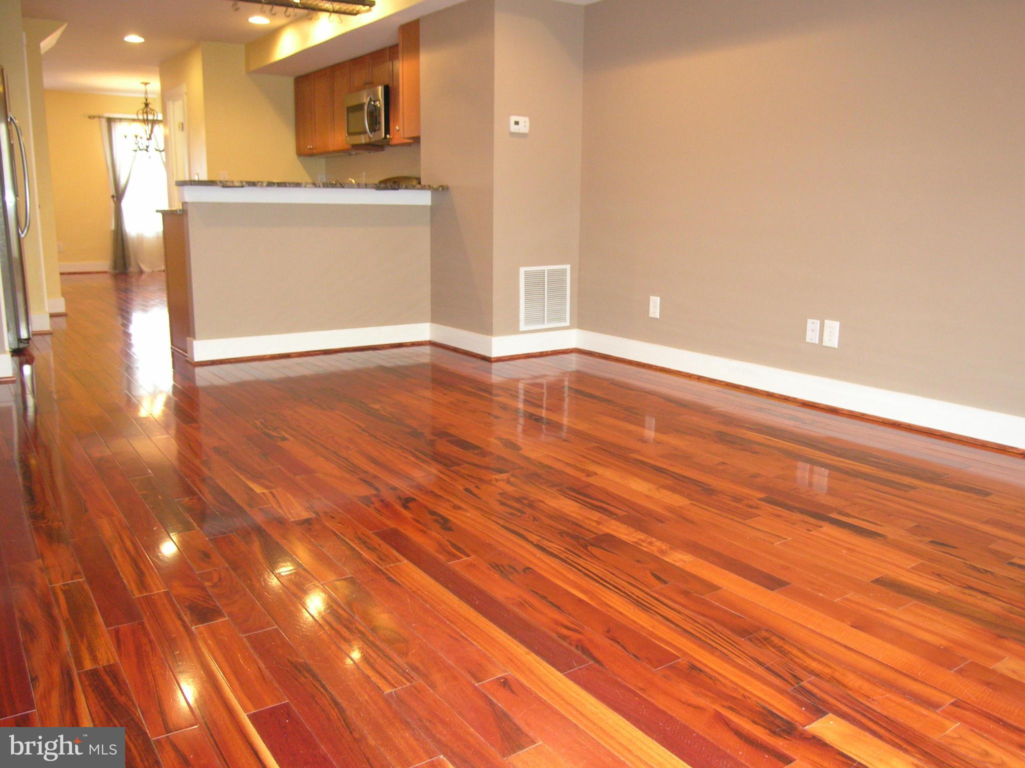 243 17th Street Southeast Washington, DC 20003 - Photo 6 of 26 Living Room